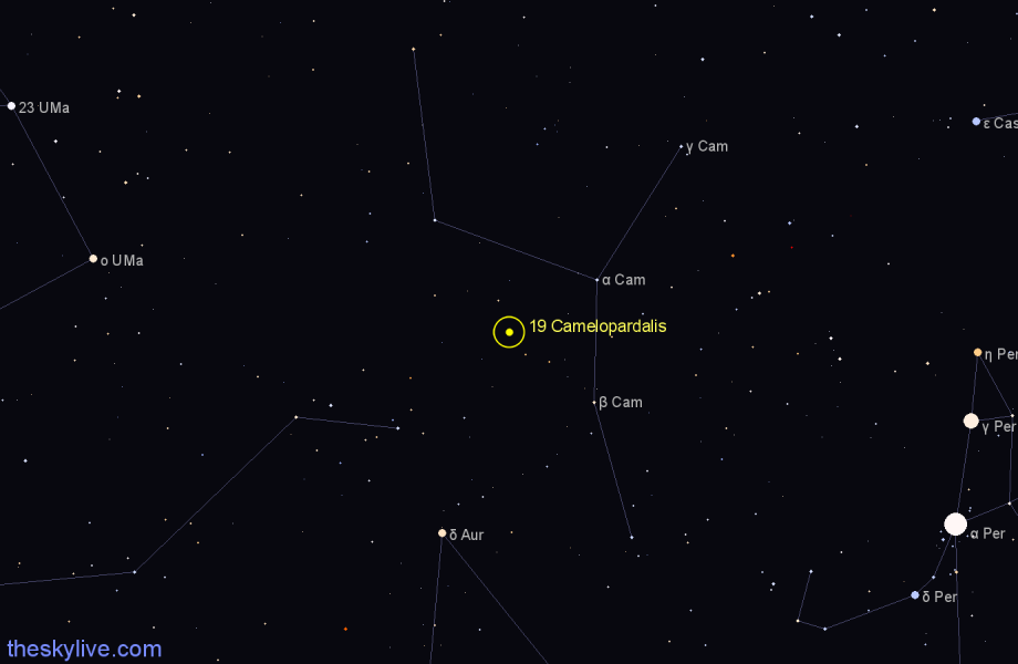 Finder chart 19 Camelopardalis star