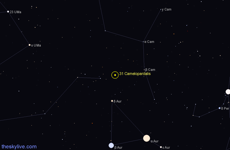 Finder chart 31 Camelopardalis star