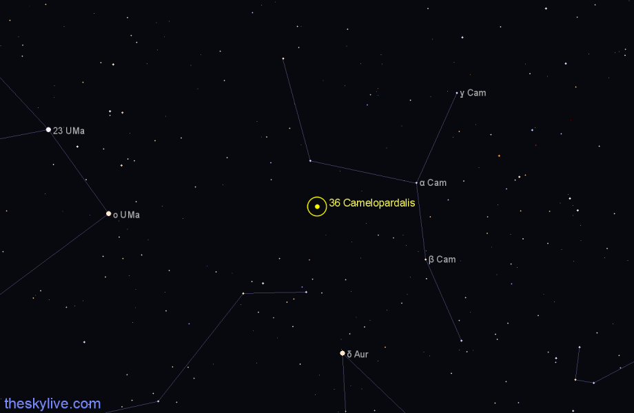 Finder chart 36 Camelopardalis star