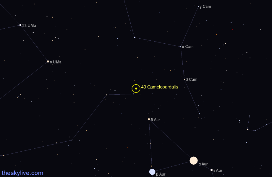 Finder chart 40 Camelopardalis star