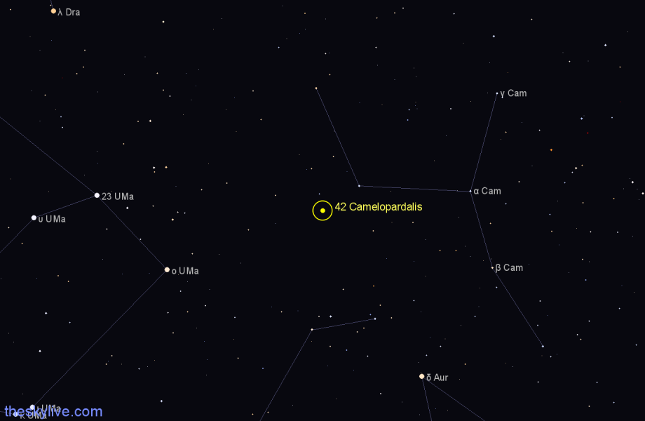 Finder chart 42 Camelopardalis star