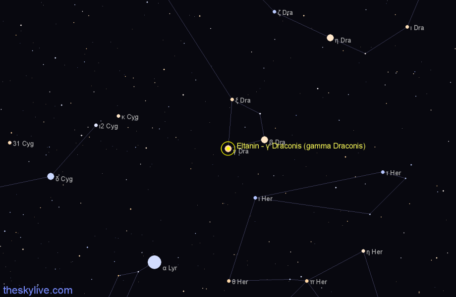 Finder chart Eltanin - γ Draconis (gamma Draconis) star