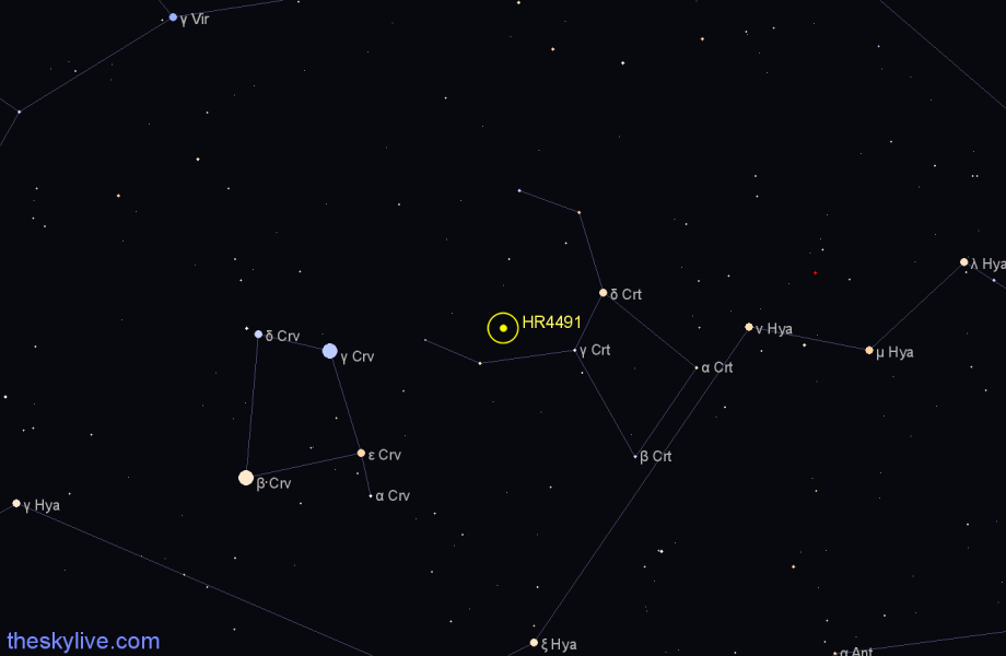 Finder chart HR4491 star