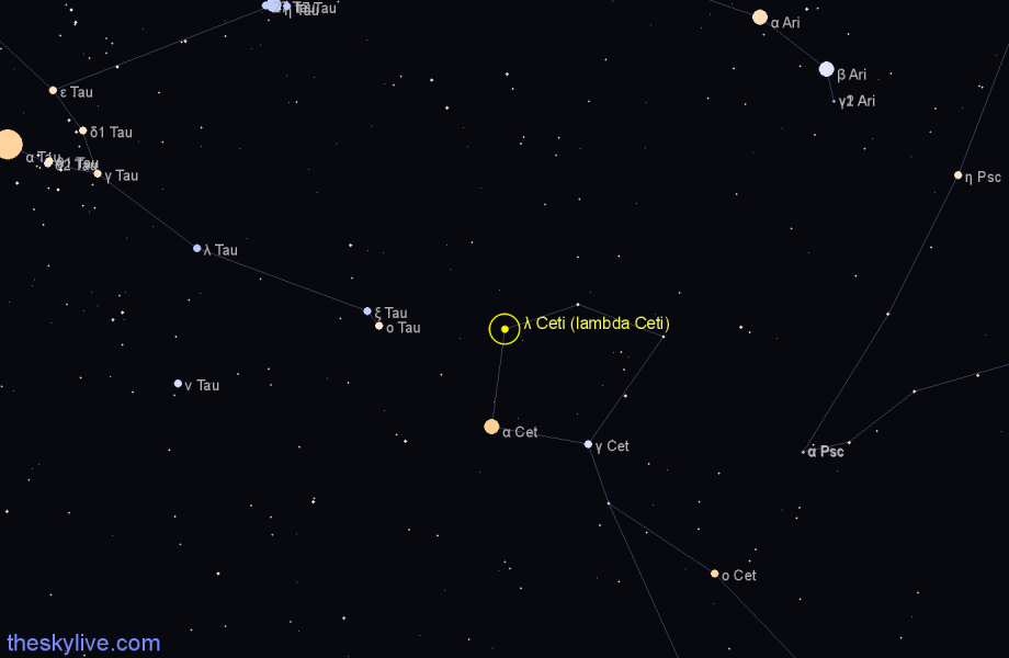 Finder chart λ Ceti (lambda Ceti) star