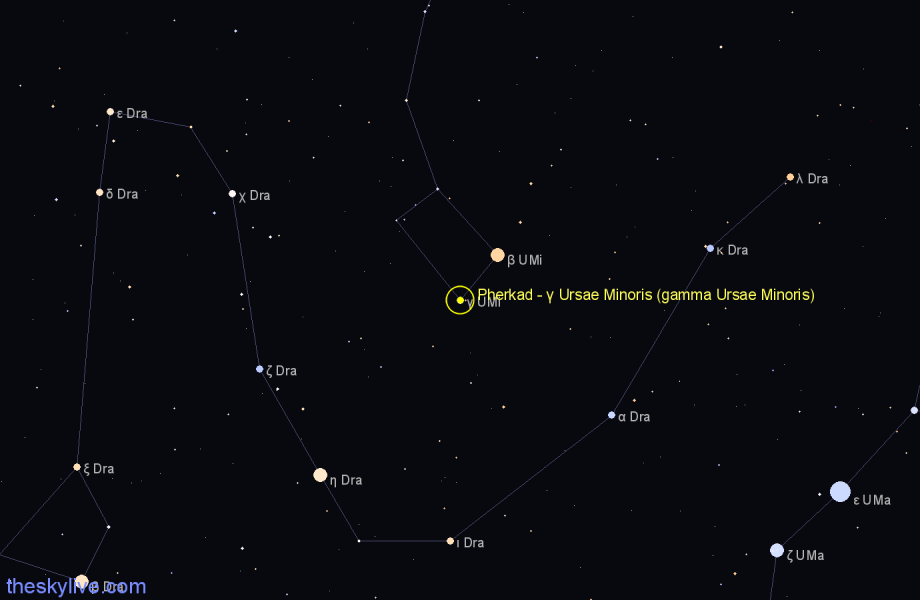 Finder chart Pherkad - γ Ursae Minoris (gamma Ursae Minoris) star