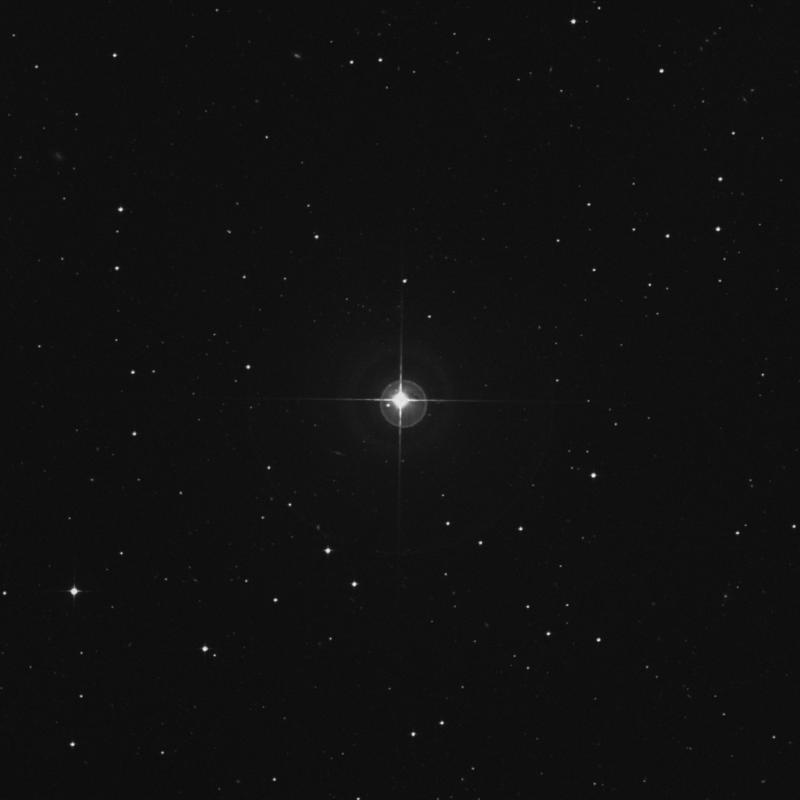 Image of κ1 Sculptoris (kappa1 Sculptoris) star