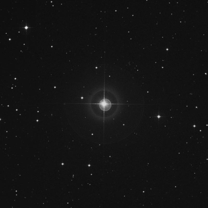 Image of HR37 star