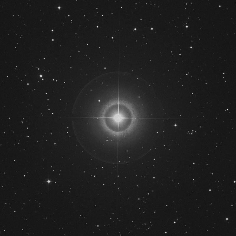 Image of χ Pegasi (chi Pegasi) star