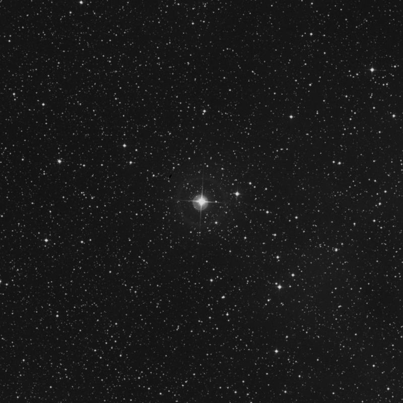 Image of 12 Cassiopeiae star