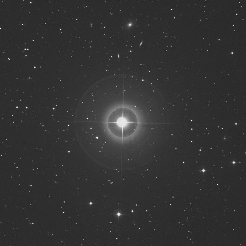 Image of ε Andromedae (epsilon Andromedae) star