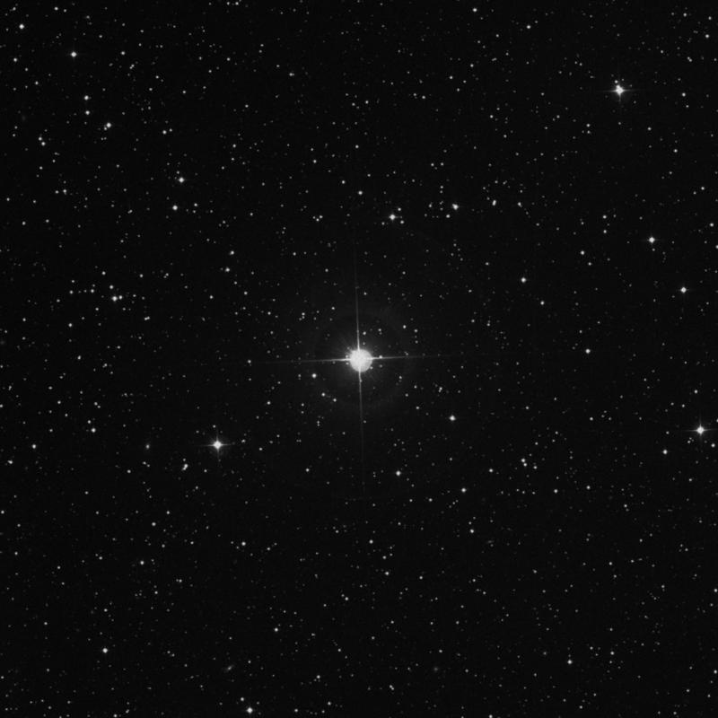 Image of π Cassiopeiae (pi Cassiopeiae) star