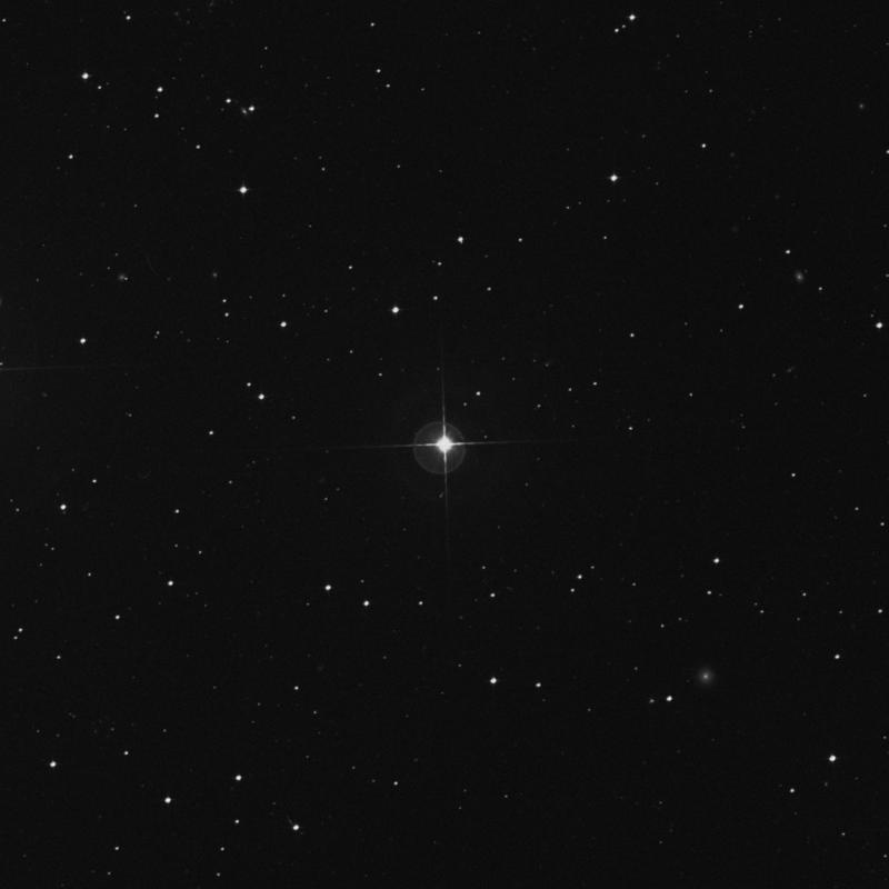 Image of λ1 Sculptoris (lambda1 Sculptoris) star