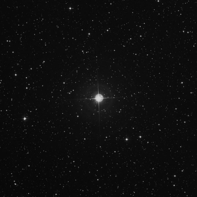 Image of ο Cassiopeiae (omicron Cassiopeiae) star