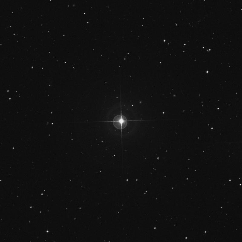 Image of λ2 Sculptoris (lambda2 Sculptoris) star