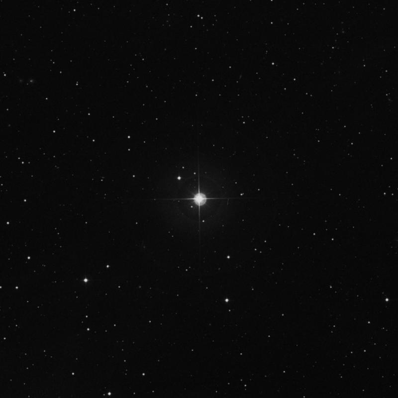 Image of τ1 Arietis (tau1 Arietis) star
