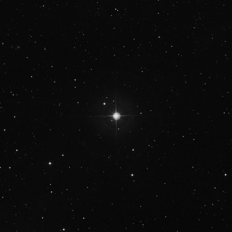 Image of τ1 Arietis (tau1 Arietis) star