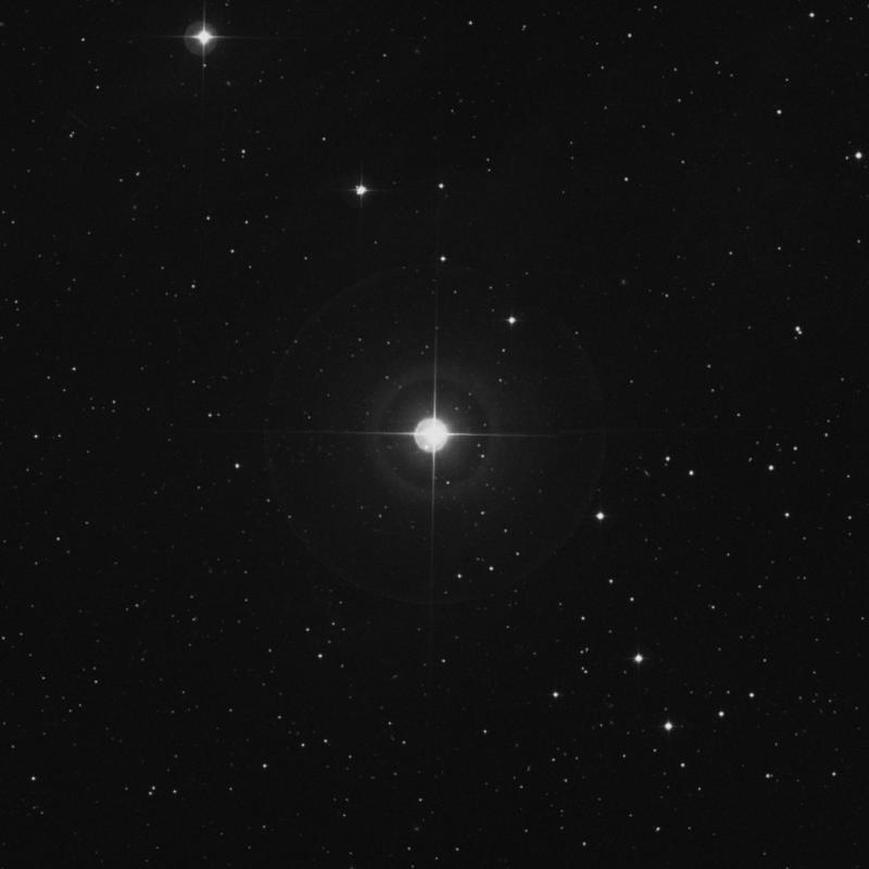 Image of τ2 Arietis (tau2 Arietis) star