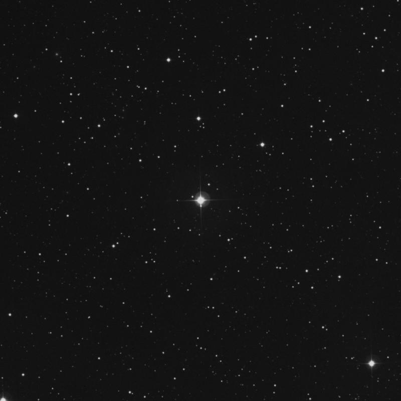 Image of HR1019 star