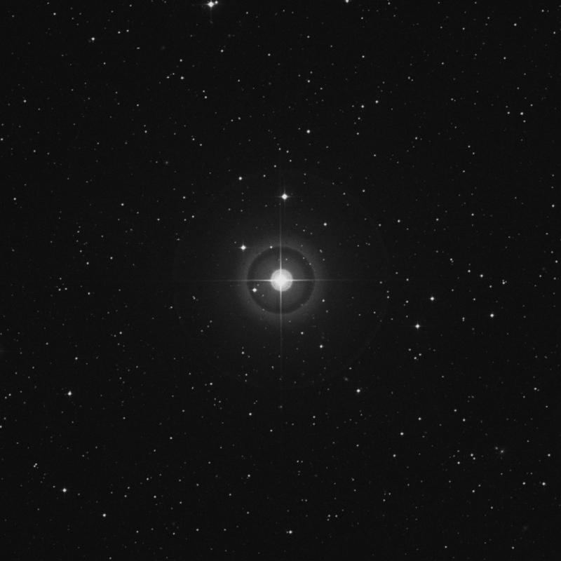Image of 64 Arietis star