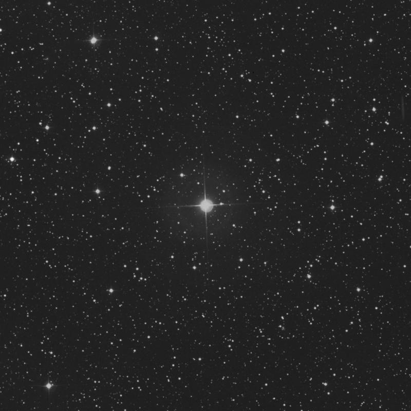 Image of 36 Persei star