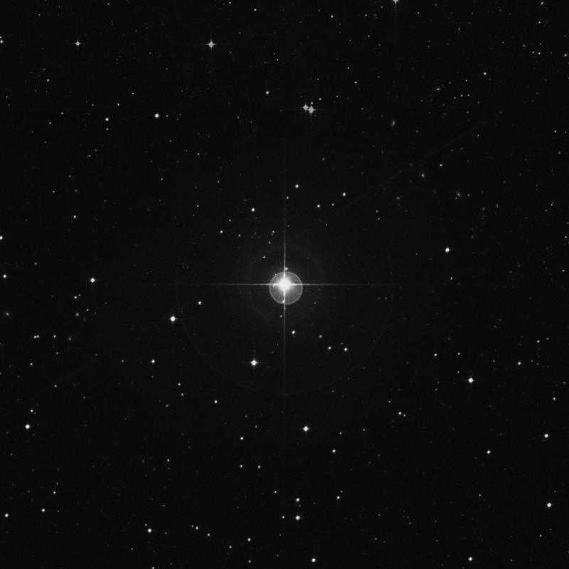 Image of 20 Eridani star