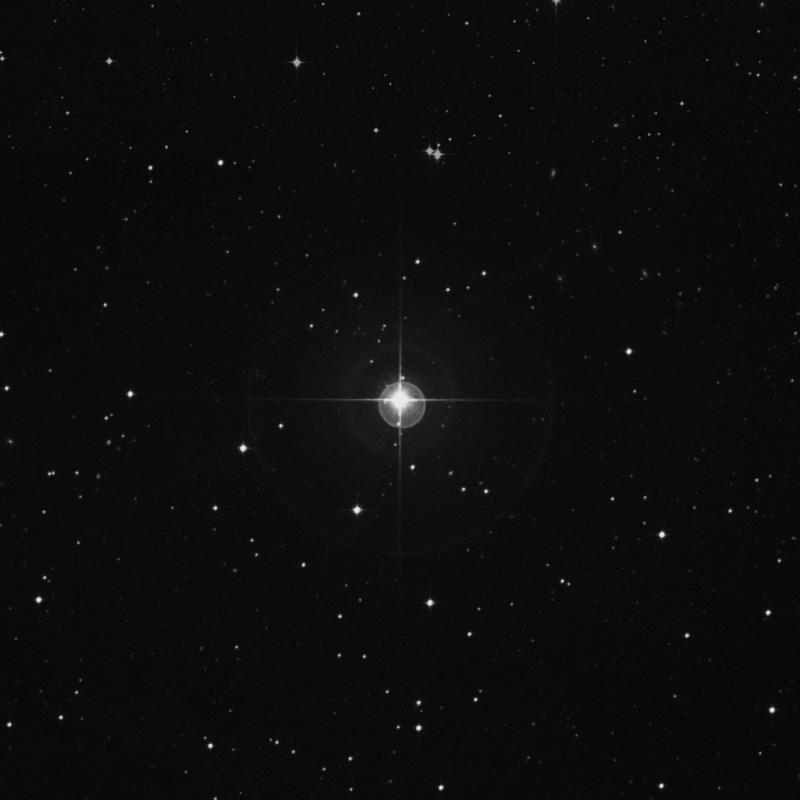 Image of 20 Eridani star