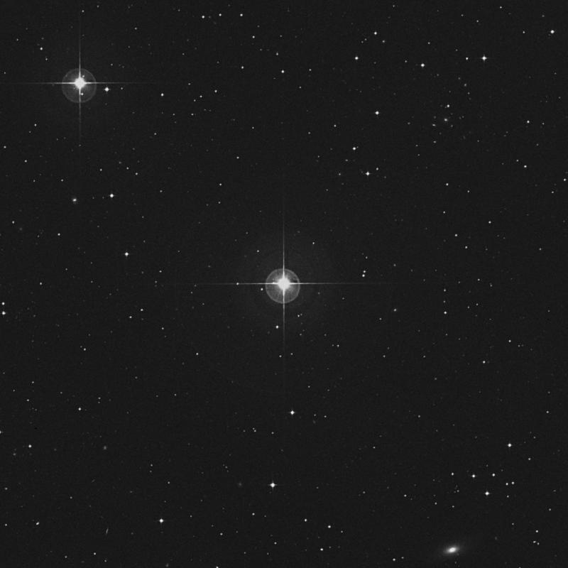 Image of HR1116 star
