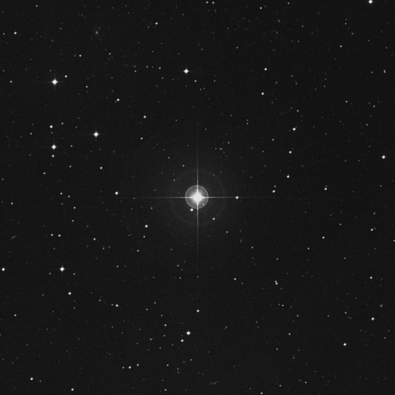 Image of HR1117 star