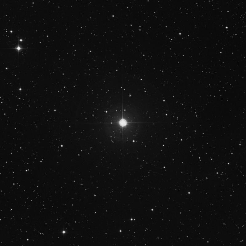 Image of 40 Persei star