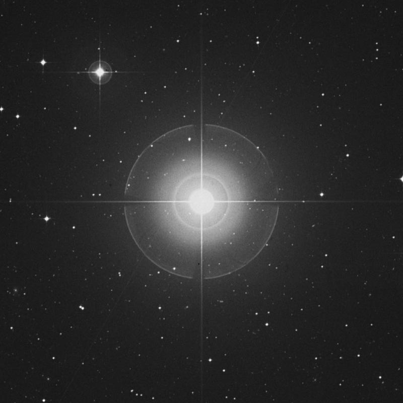 Image of δ Eridani (delta Eridani) star