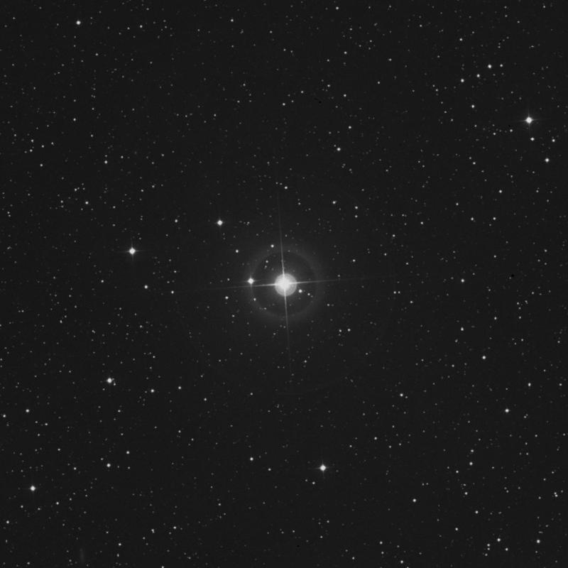 Image of γ Camelopardalis (gamma Camelopardalis) star