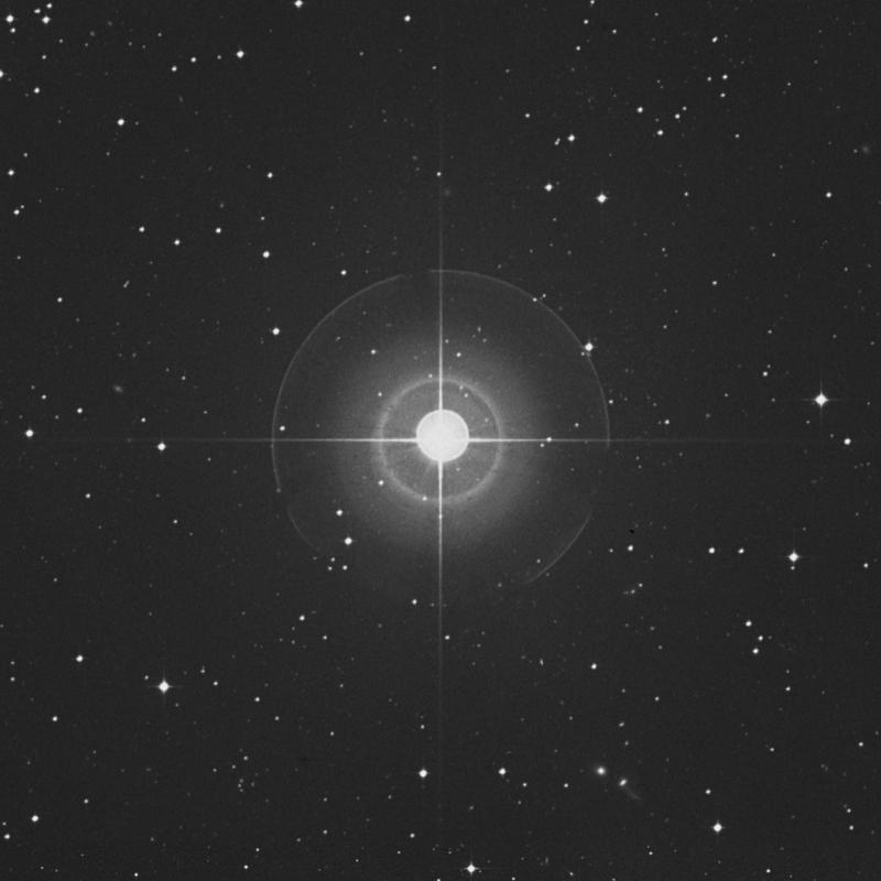 Image of π Eridani (pi Eridani) star
