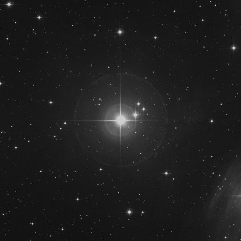 Image of Alcyone - η Tauri (eta Tauri) star