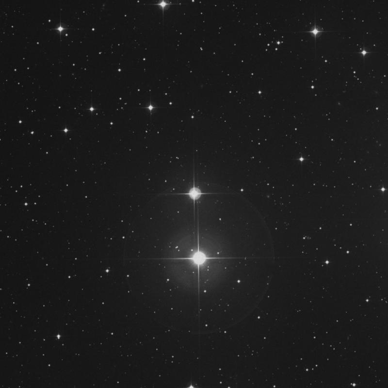 Image of Pleione - 28 Tauri star