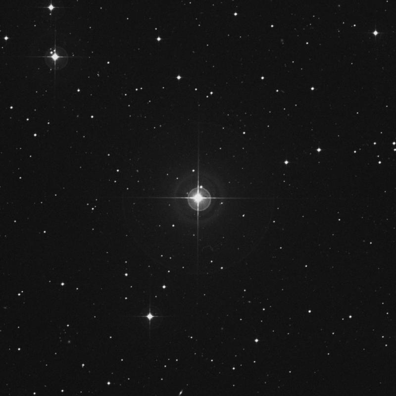 Image of τ7 Eridani (tau7 Eridani) star