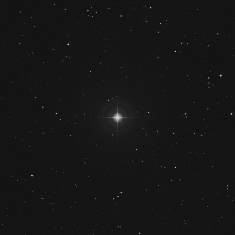 Image of 40 Tauri star