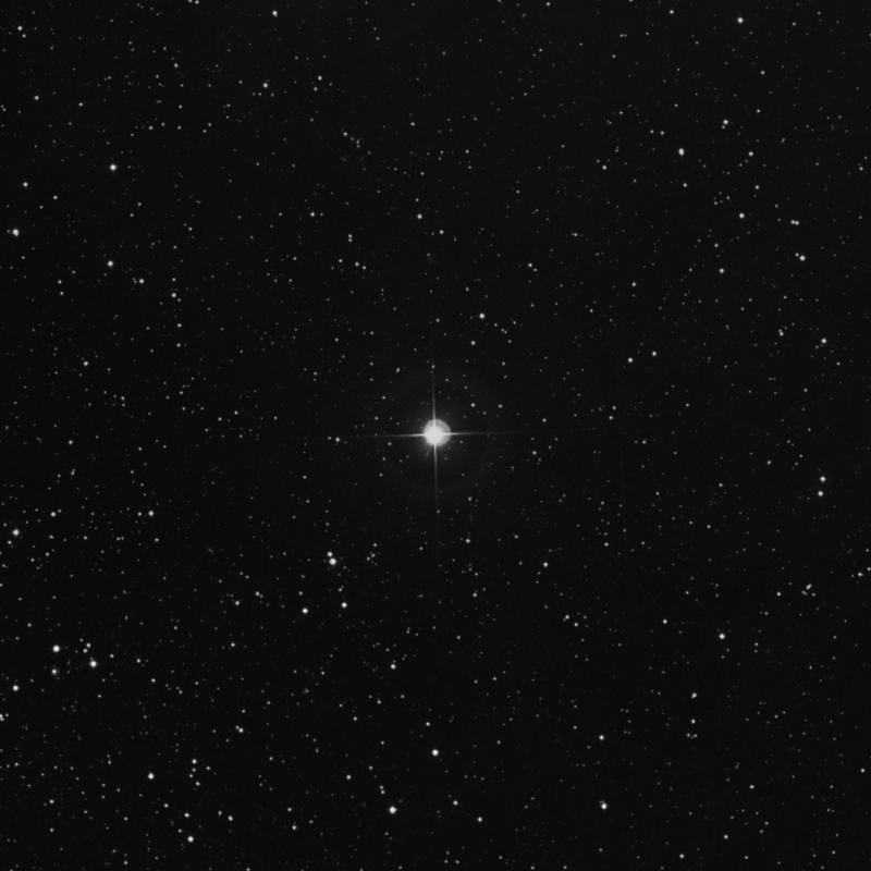 Image of 49 Persei star