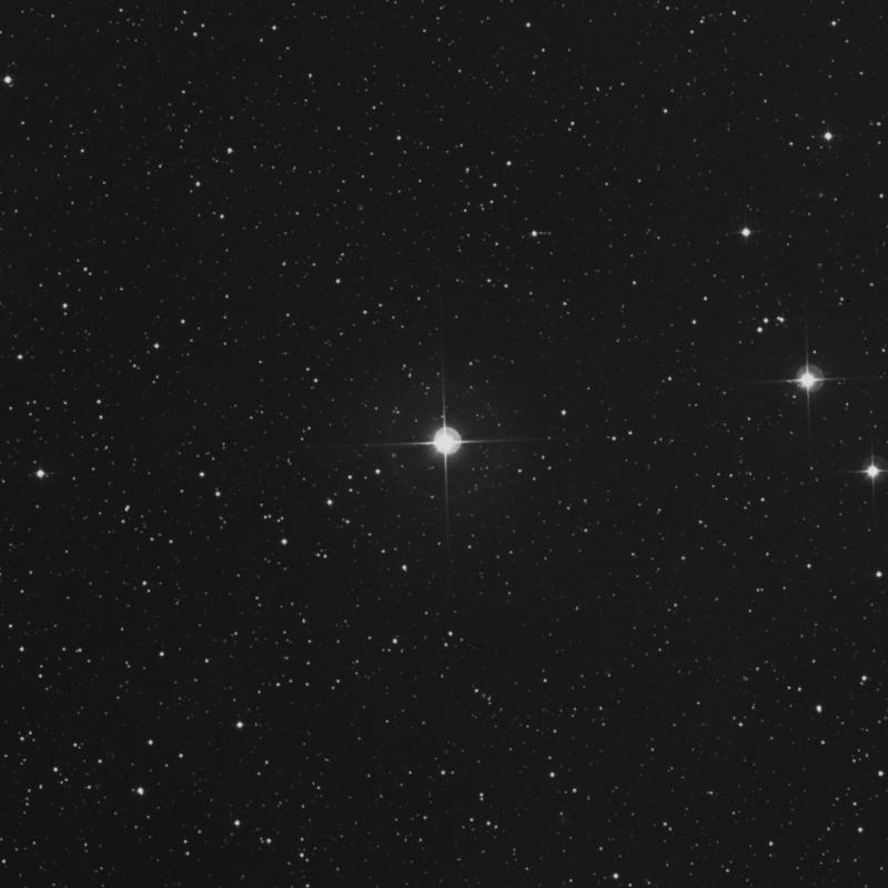 Image of 50 Persei star