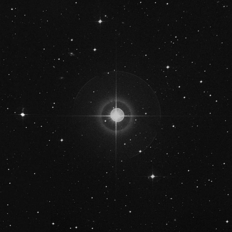 Image of Beid - ο1 Eridani (omicron1 Eridani) star