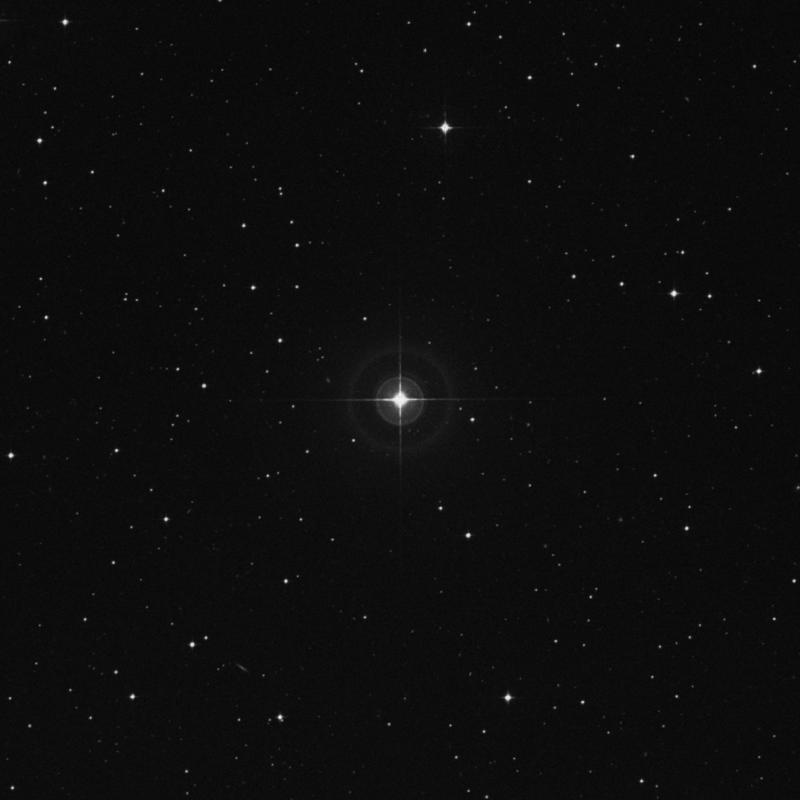 Image of HR1316 star