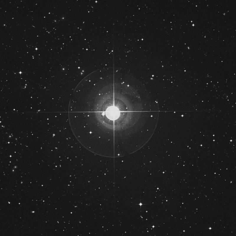 Image of Keid - ο2 Eridani (omicron2 Eridani) star