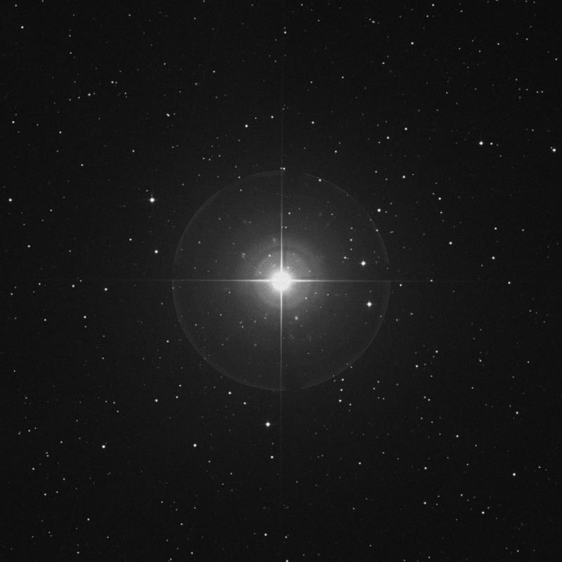 Image of Prima Hyadum - γ Tauri (gamma Tauri) star