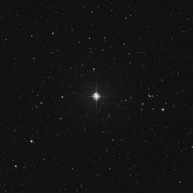 Image of χ Tauri (chi Tauri) star