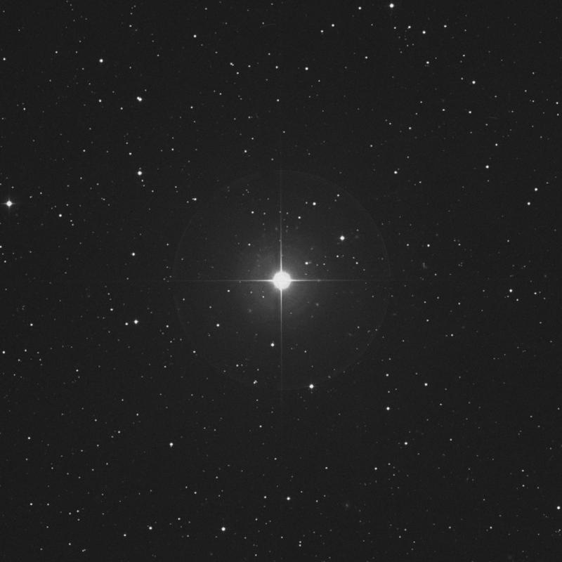 Image of π Tauri (pi Tauri) star