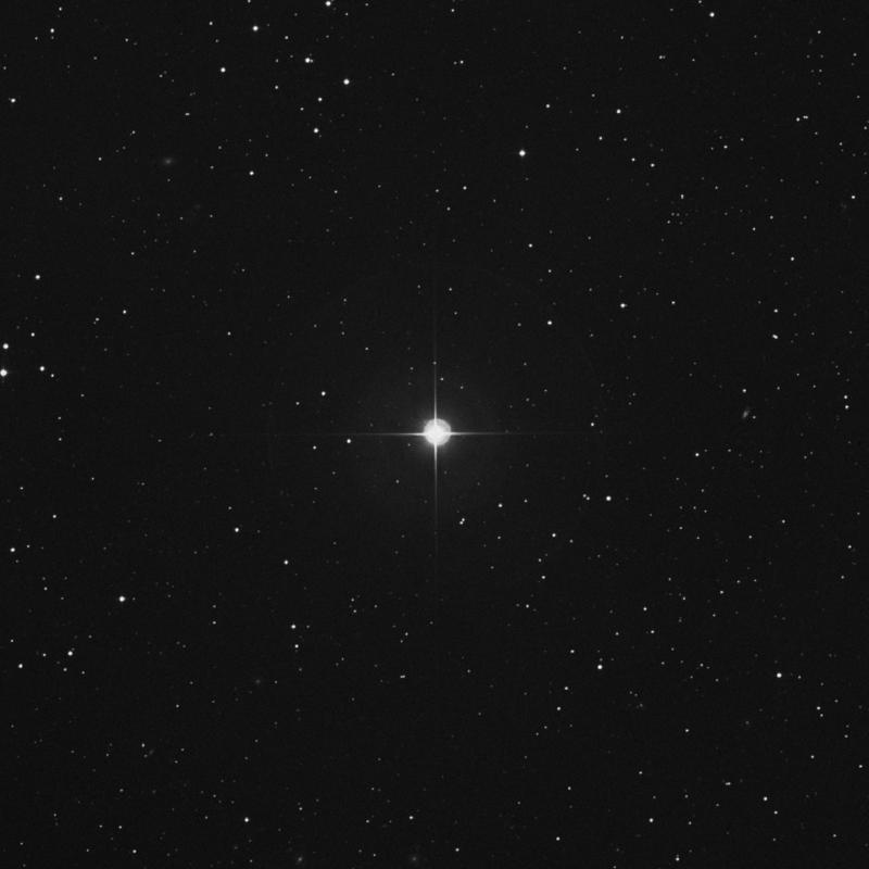 Image of 79 Tauri star