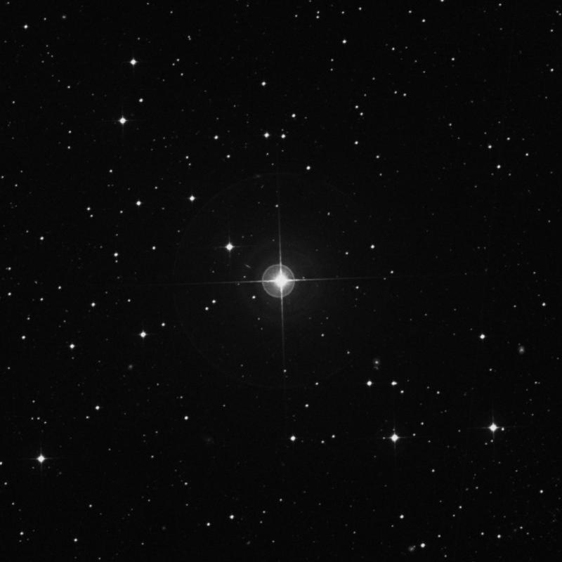 Image of δ Caeli (delta Caeli) star