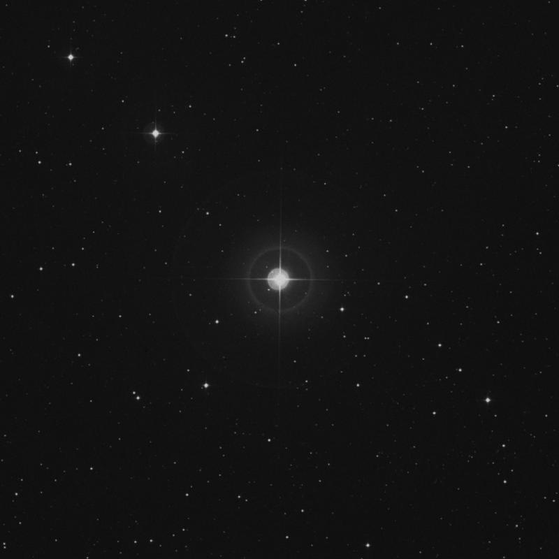 Image of ρ Tauri (rho Tauri) star