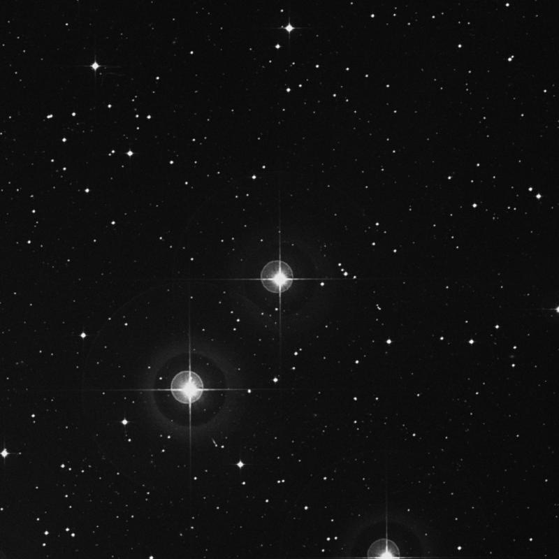 Image of 46 Eridani star