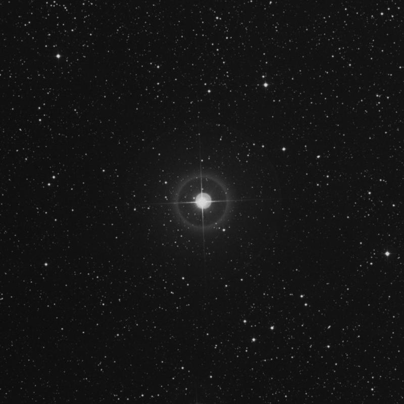 Image of 3 Camelopardalis star