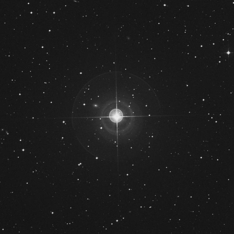 Image of α Caeli (alpha Caeli) star